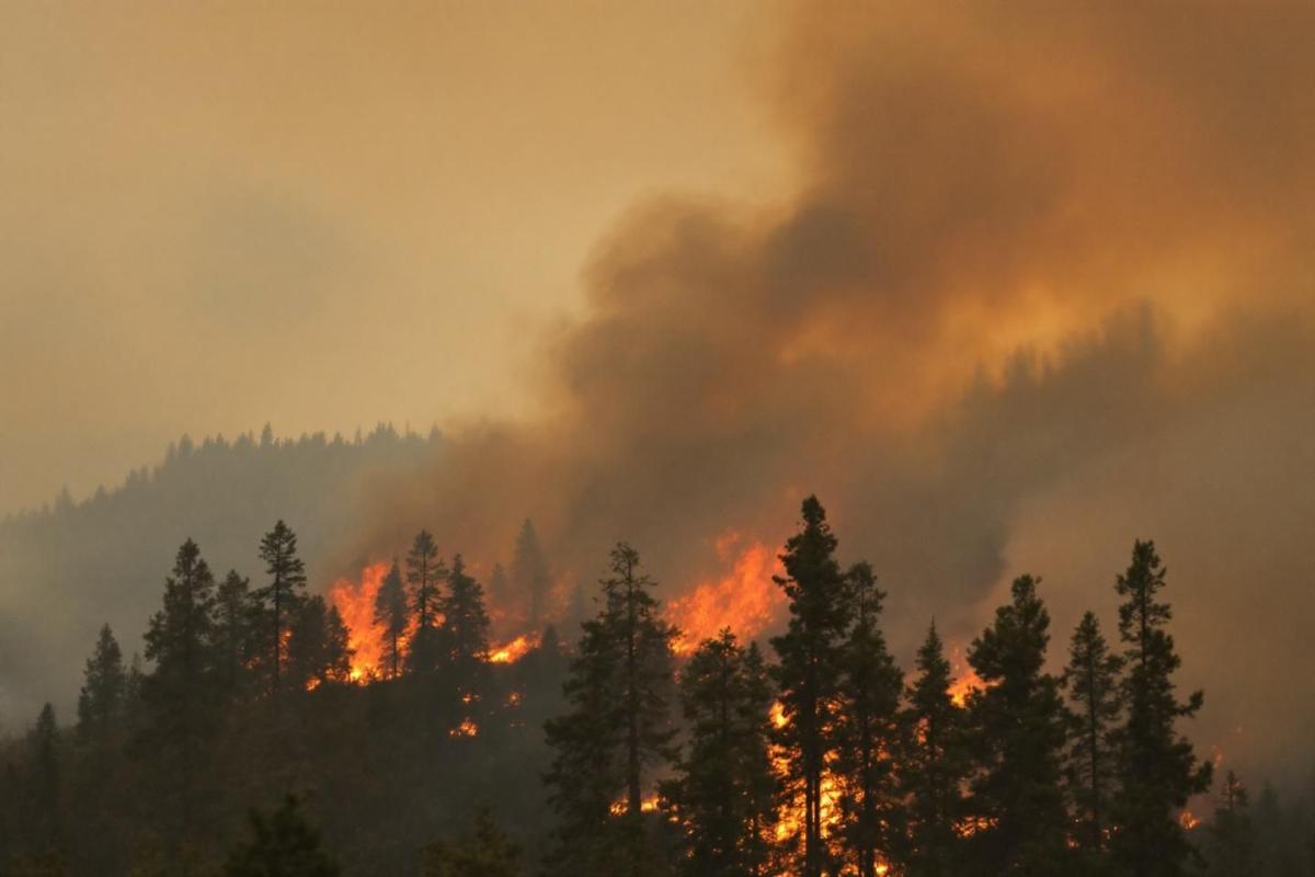 Cómo los incendios forestales en Argentina despertaron una teoría conspirativa